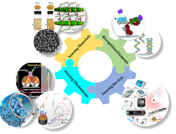 sensor and biosensor